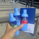 [이탈리아 여행/밀라노] 하루코스(2) - 꼬르소꼬모, 보스코 베르티칼레, 스포르체스코 성과 셈피오네 공원