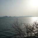 일오공삼 이미지