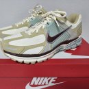 2987 | 나이키 줌 보메로 5 SE Nike Zoom Bomero 5 SE (IB2987-700)