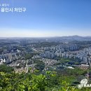 시청,용인대역 이미지
