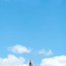 강아지와고양이 이미지