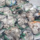 선단체육문화센터 이미지