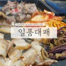 일품대패형곡점 이미지