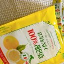 비디사이언스 이미지