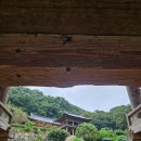 영주역안내소 | [영주 당일치기] 천년 고찰의 웅장함과 선비의 고즈넉함! (부석사, 소수서원, 무섬마을)