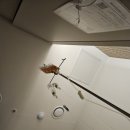 포마토김밥 제일병원점 | 제주 장염 수액 치료 후기｜육아맘 탈수 증상으로 병원 방문 후 죽이야기 죽먹으며 회복 중