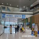 폴리팝 두들팝ver2 | 성남 어린이 공연 한국잡월드 폴리팝(두들팝ver2)