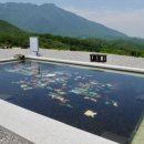 좌삼초등학교 이미지