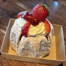 정남농장 | 화성 아이랑 놀곳, 실내체험, 실내 동물원- 화성 정남 센트럴곤충생태농장