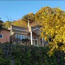 당치회관 이미지