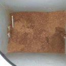 이엠공부방 | 미랜 바이오 음식물 처리기 2주사용후기...^^