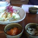 참나무쟁이 이미지