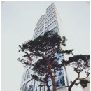 2020-주129 이미지