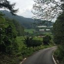 군내부동산공인중개사사무소 이미지