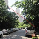 대청로116번길 이미지