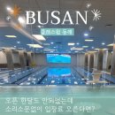 사직스포렉스 | 부산 자유수영 가능한 클래스윔 동래 한달 주말 자유수영 다녀본 장단점 후기