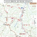 골세골 이미지