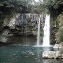 천지연폭포 이미지