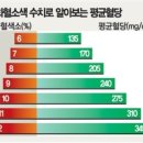 당화혈색소 정상치 이미지