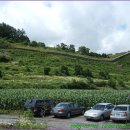 부산진고등학교 이미지