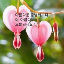 9월16일 월요일 출석방 활짝엽니다.~^^ 이미지