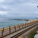 정동진역 이미지