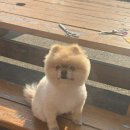 정든편의점
