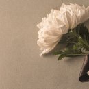 광명메모리얼파크 이미지