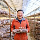 영농조합법인그린농산 이미지