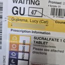 pet24라9602 | 동물병원 응급실 갔다왔ㅅㅂ니다..