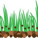 돈의비밀 - 07. 돈을 보관하는 세 가지 방법 | 식물 영양제 주는 방법 성분 만들기 추천 종류 시기