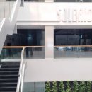 (주)에프스포렉스 이미지