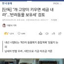 [단독] "개·고양이 키우면 세금 내라"…'반려동물 보유세' 검토 이미지