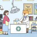 더나은동물병원 이미지