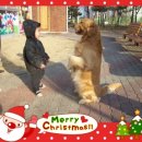 아이마루어린이집 이미지