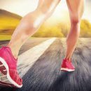 원종헬스 이미지