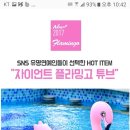 플라밍고 이미지