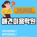 애견미용학원 선택하는법 공유해요! 이미지