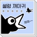 깡헤어 네이버블로그