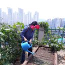 오이도 경로당 이미지