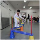 창조태권도 | 안산태권도 창조태권도, 나를 변화시키는 멋진 여정