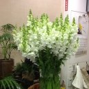 김재연한의원 이미지