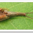 화석농장 이미지