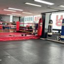 임덕민복싱클럽 이미지