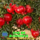 신천리슈퍼 이미지