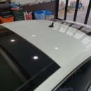 오토스킨 이미지