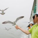 삼목선착장 이미지