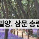 삼문동둔치길(삼문송림) 이미지