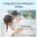어울림회센타 | 광안리고양이카페 냥냥늉늉 37개월 아이와 다녀온 후기