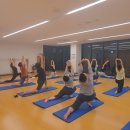 자연치유 요가 | 요가지도자과정, 자연치유요가에 대해 가장 궁금했던 4가지